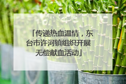 传递热血温情，东台市许河镇组织开展无偿献血活动