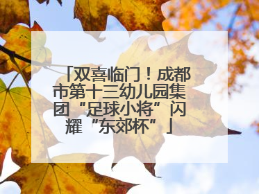 双喜临门！成都市第十三幼儿园集团“足球小将”闪耀“东郊杯”