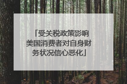 受关税政策影响 美国消费者对自身财务状况信心恶化