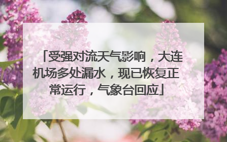 受强对流天气影响，大连机场多处漏水，现已恢复正常运行，气象台回应