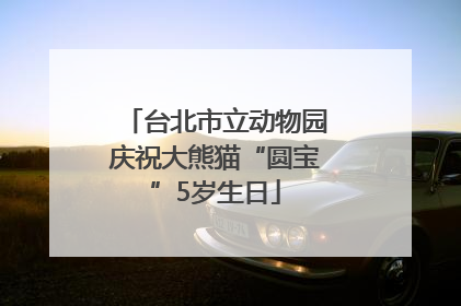 台北市立动物园庆祝大熊猫“圆宝”5岁生日