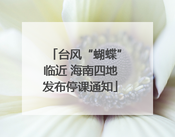 台风“蝴蝶”临近 海南四地发布停课通知