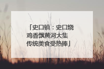 史口镇：史口烧鸡香飘黄河大集 传统美食受热捧