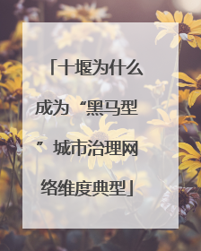十堰为什么成为“黑马型”城市治理网络维度典型