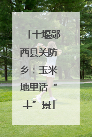 十堰郧西县关防乡：玉米地里话“丰”景