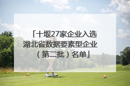 十堰27家企业入选湖北省数据要素型企业（第二批）名单