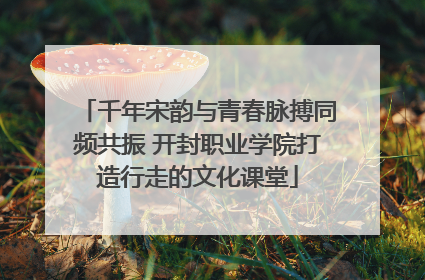 千年宋韵与青春脉搏同频共振 开封职业学院打造行走的文化课堂