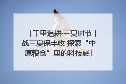 千里追耕·三夏时节丨战三夏保丰收 探索“中原粮仓”里的科技感