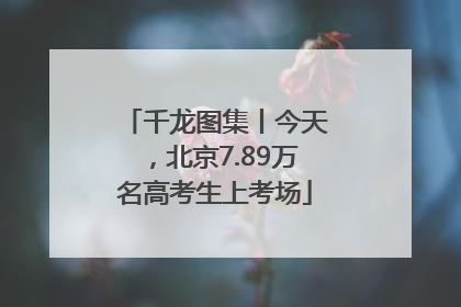 千龙图集丨今天，北京7.89万名高考生上考场