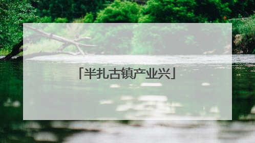 半扎古镇产业兴