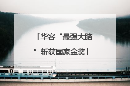 华容“最强大脑”斩获国家金奖