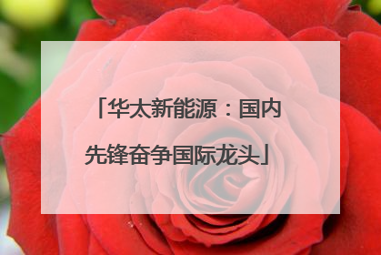 华太新能源：国内先锋奋争国际龙头