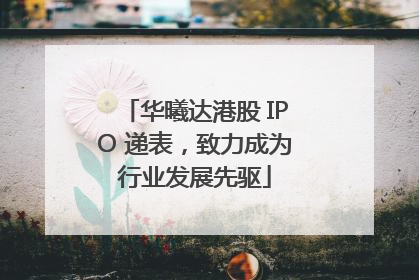 华曦达港股 IPO 递表，致力成为行业发展先驱