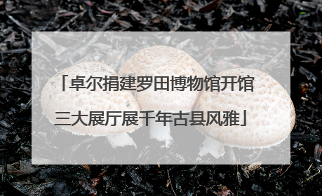 卓尔捐建罗田博物馆开馆 三大展厅展千年古县风雅