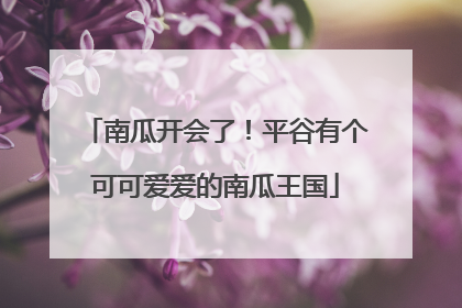 南瓜开会了！平谷有个可可爱爱的南瓜王国