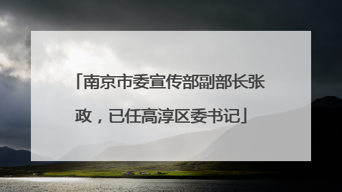 南京市委宣传部副部长张政，已任高淳区委书记