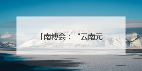 南博会：“云南元素”文创吸睛 众多产品热销海内外