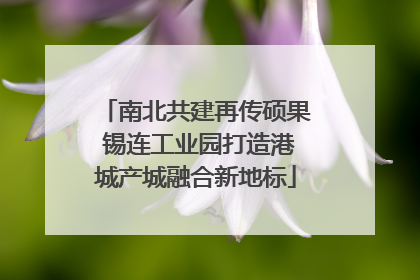 南北共建再传硕果 锡连工业园打造港城产城融合新地标