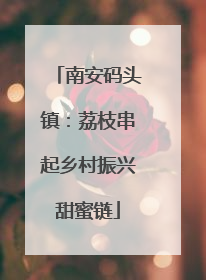 南安码头镇：荔枝串起乡村振兴甜蜜链