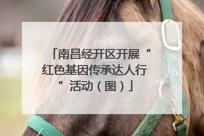 南昌经开区开展“红色基因传承达人行”活动（图）