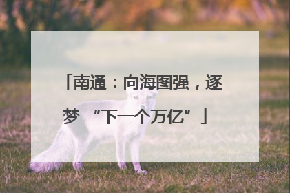 南通：向海图强，逐梦 “下一个万亿”