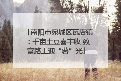 南阳市宛城区瓦店镇：千亩土豆喜丰收 致富路上迎“薯”光