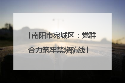 南阳市宛城区：党群合力筑牢禁烧防线