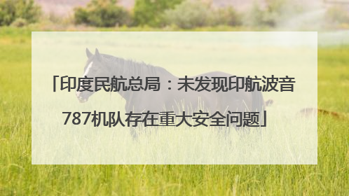 印度民航总局：未发现印航波音787机队存在重大安全问题