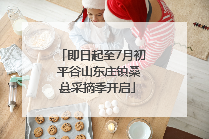 即日起至7月初 平谷山东庄镇桑葚采摘季开启