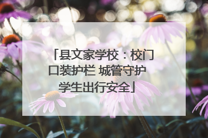 县文家学校：校门口装护栏 城管守护学生出行安全