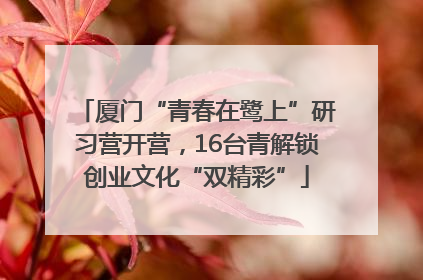 厦门“青春在鹭上”研习营开营，16台青解锁创业文化“双精彩”