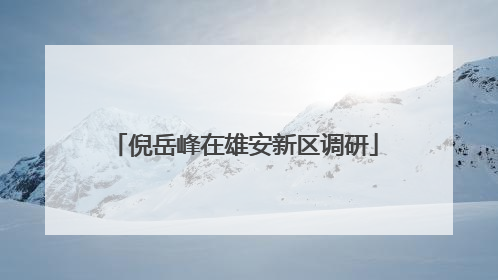 倪岳峰在雄安新区调研