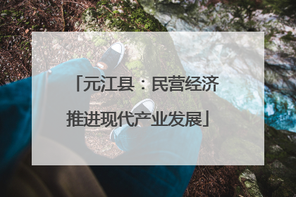 元江县：民营经济推进现代产业发展