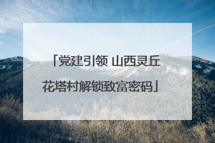党建引领 山西灵丘花塔村解锁致富密码