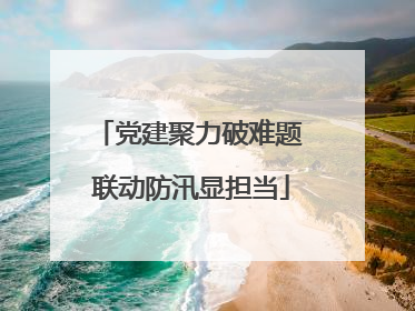 党建聚力破难题 联动防汛显担当