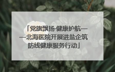 党旗飘扬·健康护航——北海医院开展进盐企筑防线健康服务行动