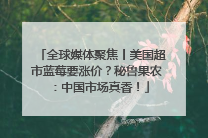 全球媒体聚焦丨美国超市蓝莓要涨价？秘鲁果农：中国市场真香！