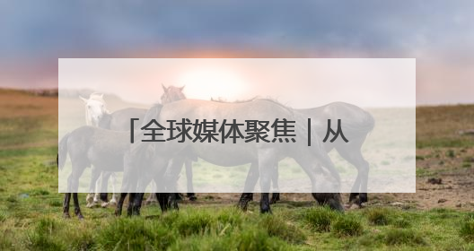 全球媒体聚焦｜从罐头到汽车，50%关税下美国制造业的“生死劫”