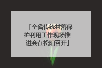 全省传统村落保护利用工作现场推进会在松阳召开