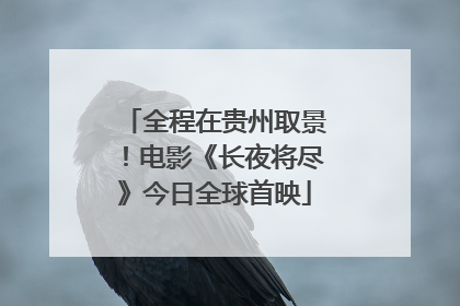全程在贵州取景！电影《长夜将尽》今日全球首映