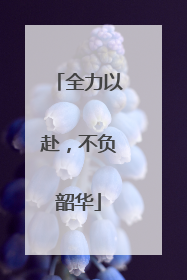 全力以赴，不负韶华