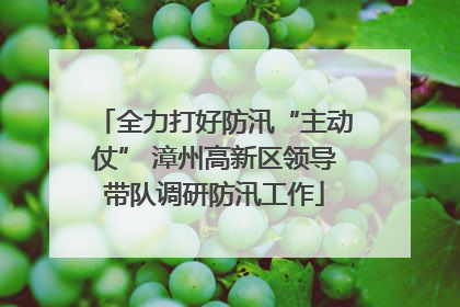 全力打好防汛“主动仗” 漳州高新区领导带队调研防汛工作