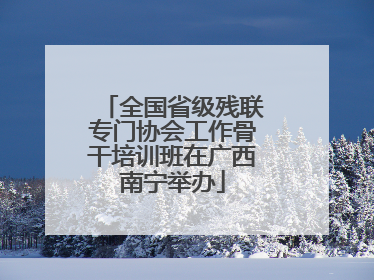 全国省级残联专门协会工作骨干培训班在广西南宁举办