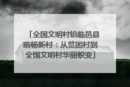 全国文明村镇临邑县前杨新村：从贫困村到全国文明村华丽蜕变