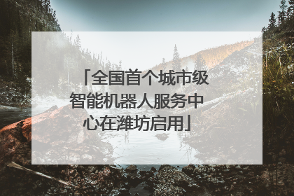 全国首个城市级智能机器人服务中心在潍坊启用