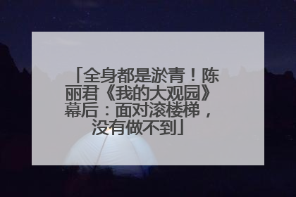 全身都是淤青！陈丽君《我的大观园》幕后：面对滚楼梯，没有做不到