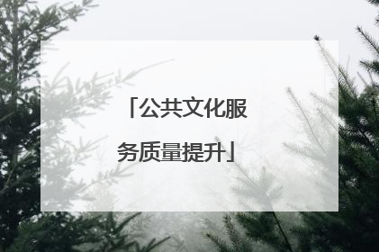 公共文化服务质量提升