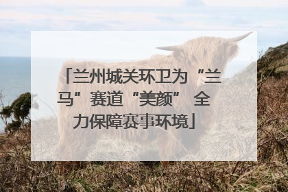 兰州城关环卫为“兰马”赛道“美颜” 全力保障赛事环境