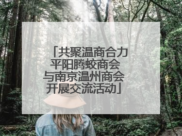 共聚温商合力 平阳腾蛟商会与南京温州商会开展交流活动
