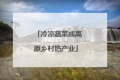冷凉蔬菜成高原乡村热产业